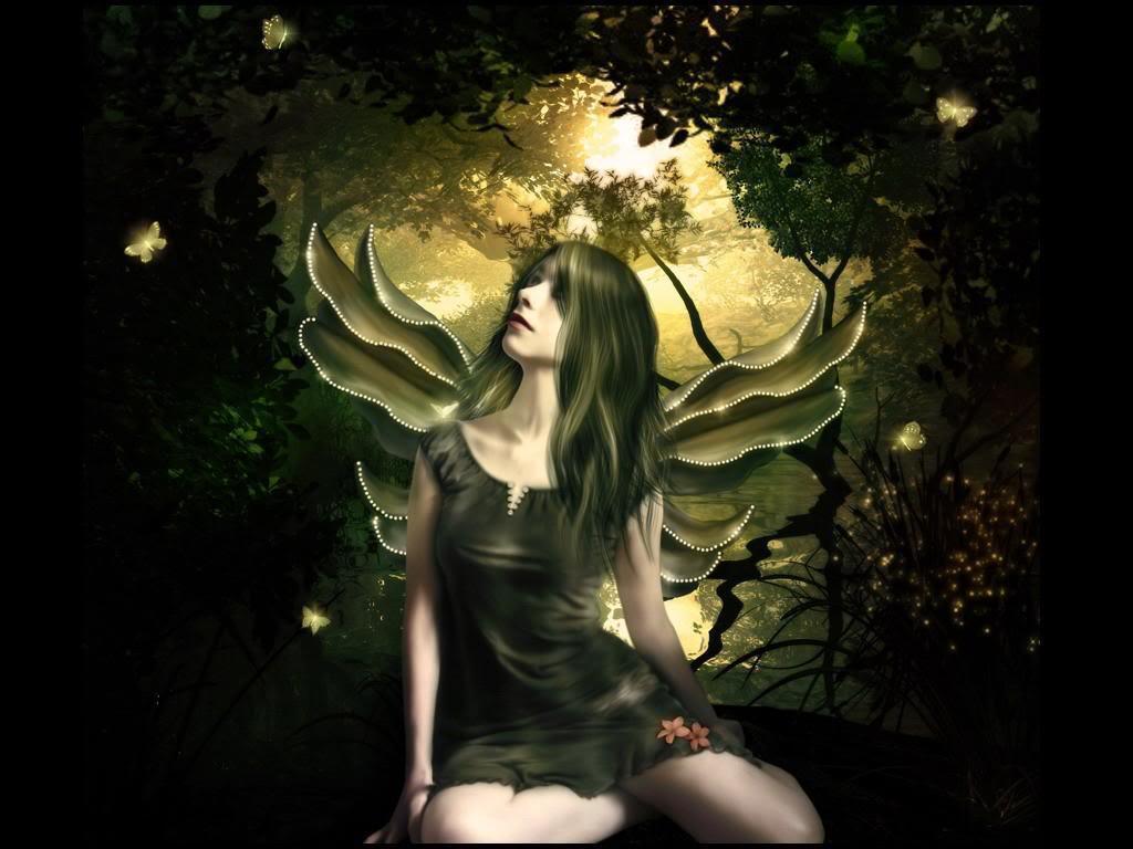 Shinning-Butterfly-Fairy-Wallpaper-fairies-10270474-1024-768